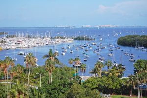 WeMoke Rentals - Coconut Grove Florida