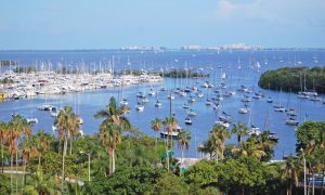 WeMoke Rentals - Coconut Grove Florida